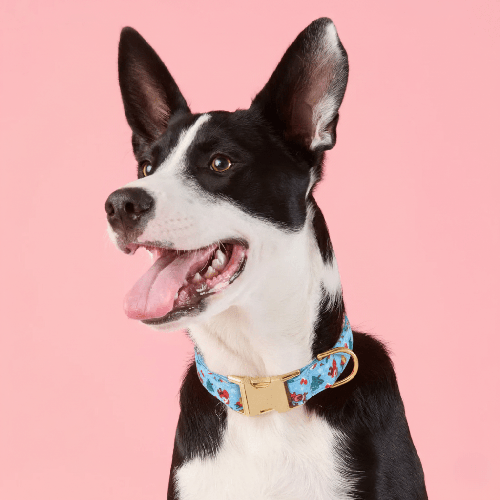 Pookies' Winter Wonderland Dog Collar - Pookies